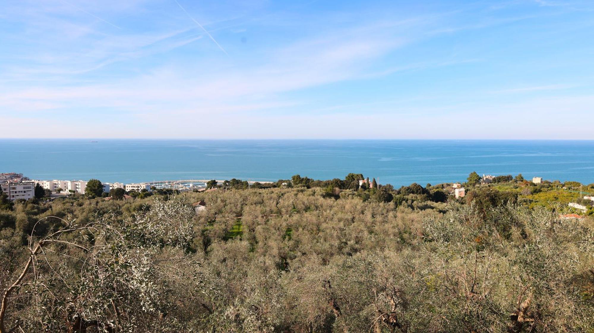I Frangiventi Rodi Garganico Exterior foto