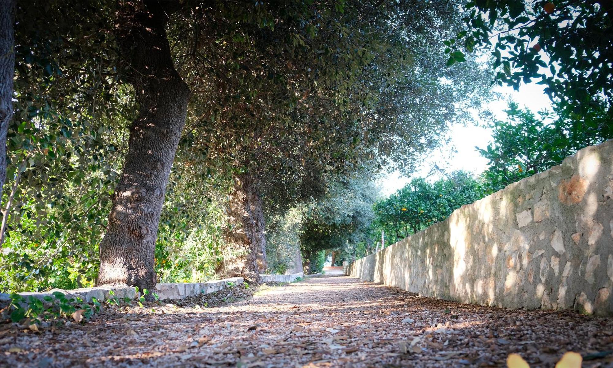I Frangiventi Rodi Garganico Exterior foto